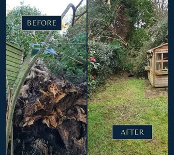 Emergency Work Qualitree