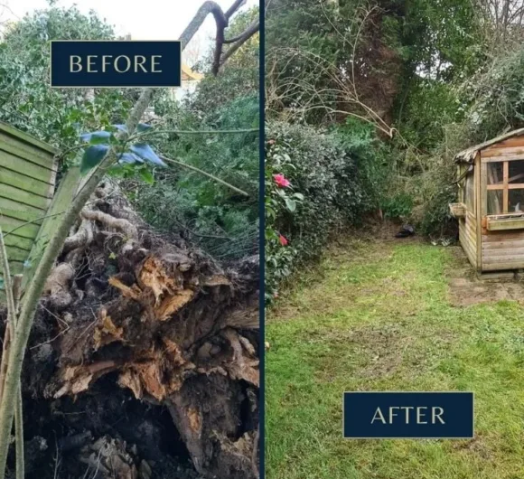 Emergency Work Qualitree