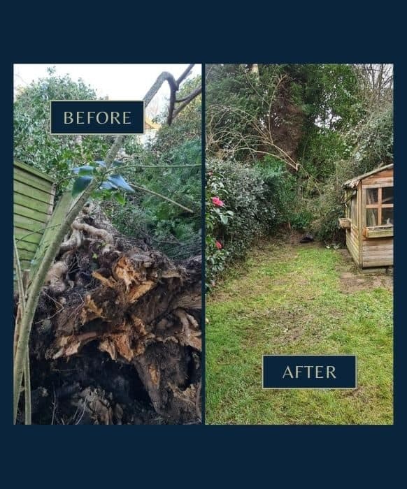 Emergency tree work 3