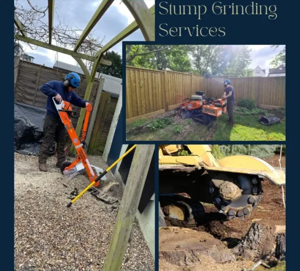 Stump Grinding Qualitree 3