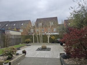 Kenley Crown Reduction