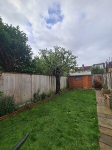 Streatham Crown Reduction