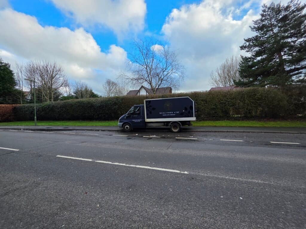 Hedge Pruning Surrey | Qualitree Ltd